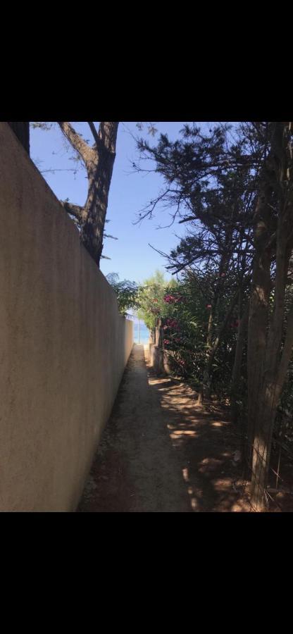 Appartamento Con Giardino A 50 M Dal Mare L'Ile-Rousse  Ngoại thất bức ảnh